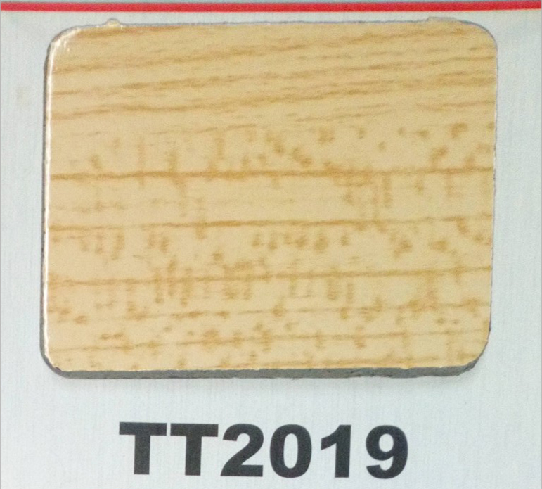 TT2019